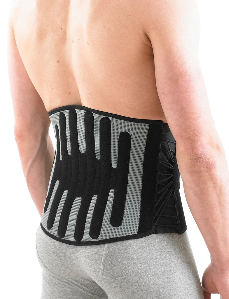 Torso, Back and Groin